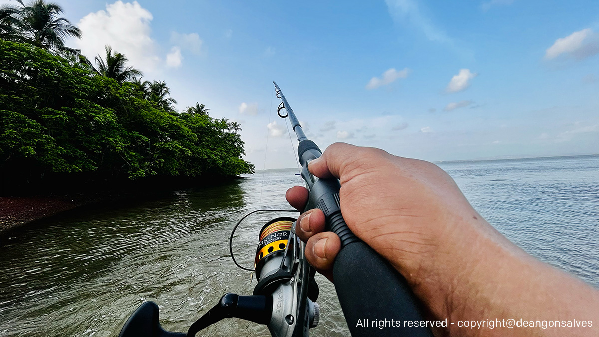 Fishing Rod Review- Okuma Altera Travel Rod – Fishing & Travel
